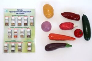 Коллекция «Плоды сельскохозяйственных растений».