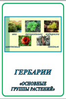 Гербарий «Основные группы растений».