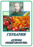 Гербарий «Основы общей биологии