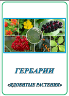 Гербарий «Ядовитые растения».