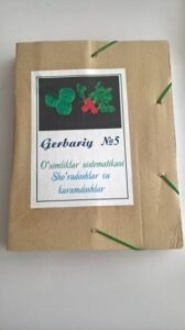 Гербарий для начальной школы (10 видов гербарных листов)